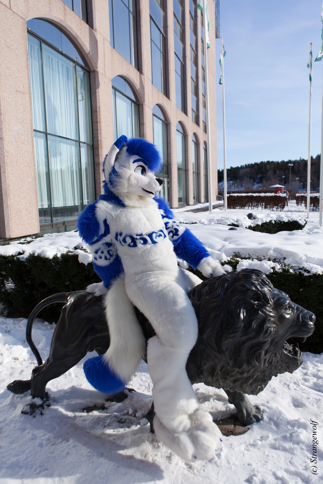 full image IMG_9739-lr19t.jpg