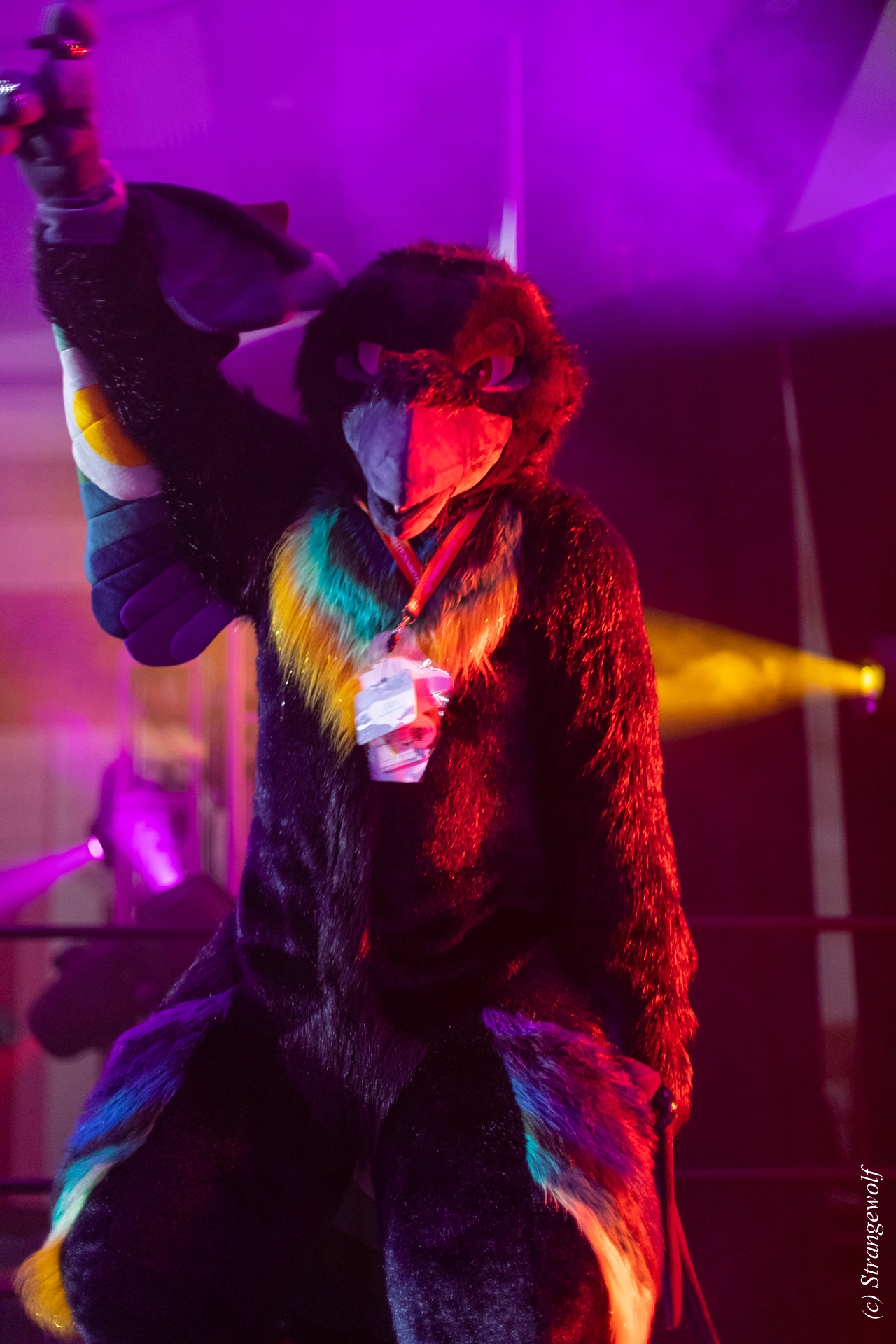 full image 1R3A0693-lr19t.jpg