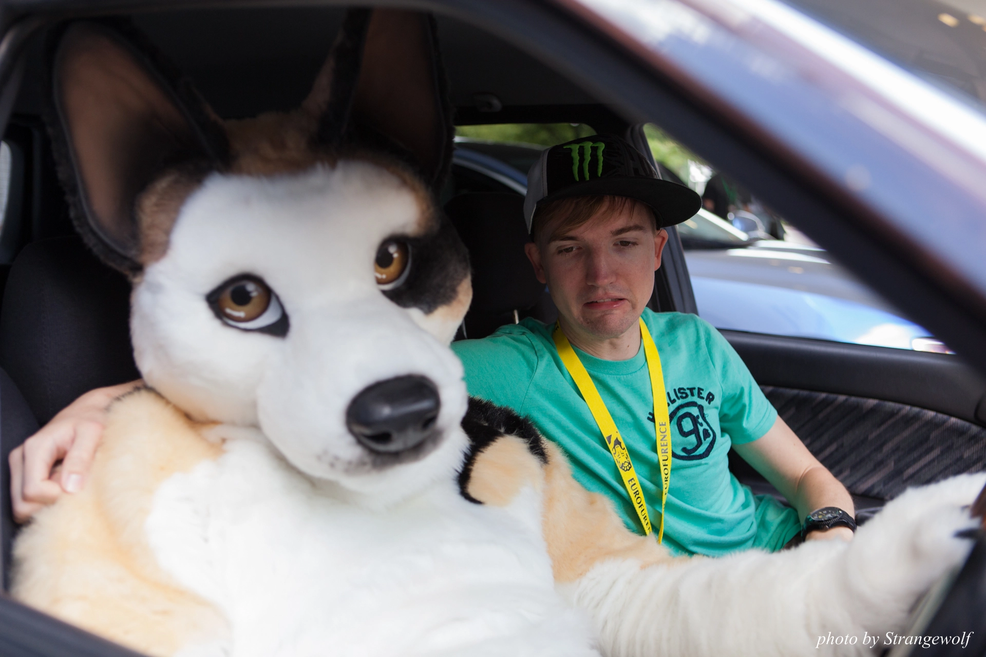 full image IMG_6859-lr19t.jpg