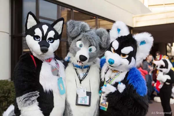 IMG_8412-lr19t.jpg of MFF/MFF2017/