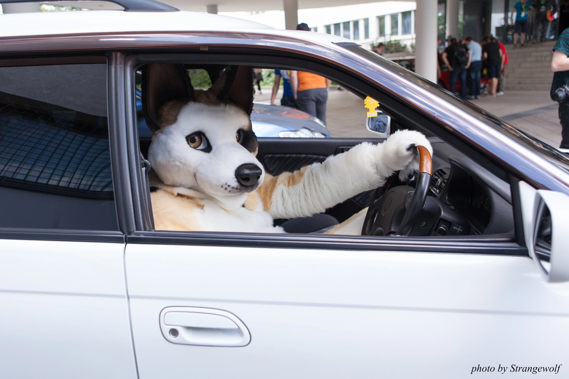 full image IMG_6846-lr19t.jpg