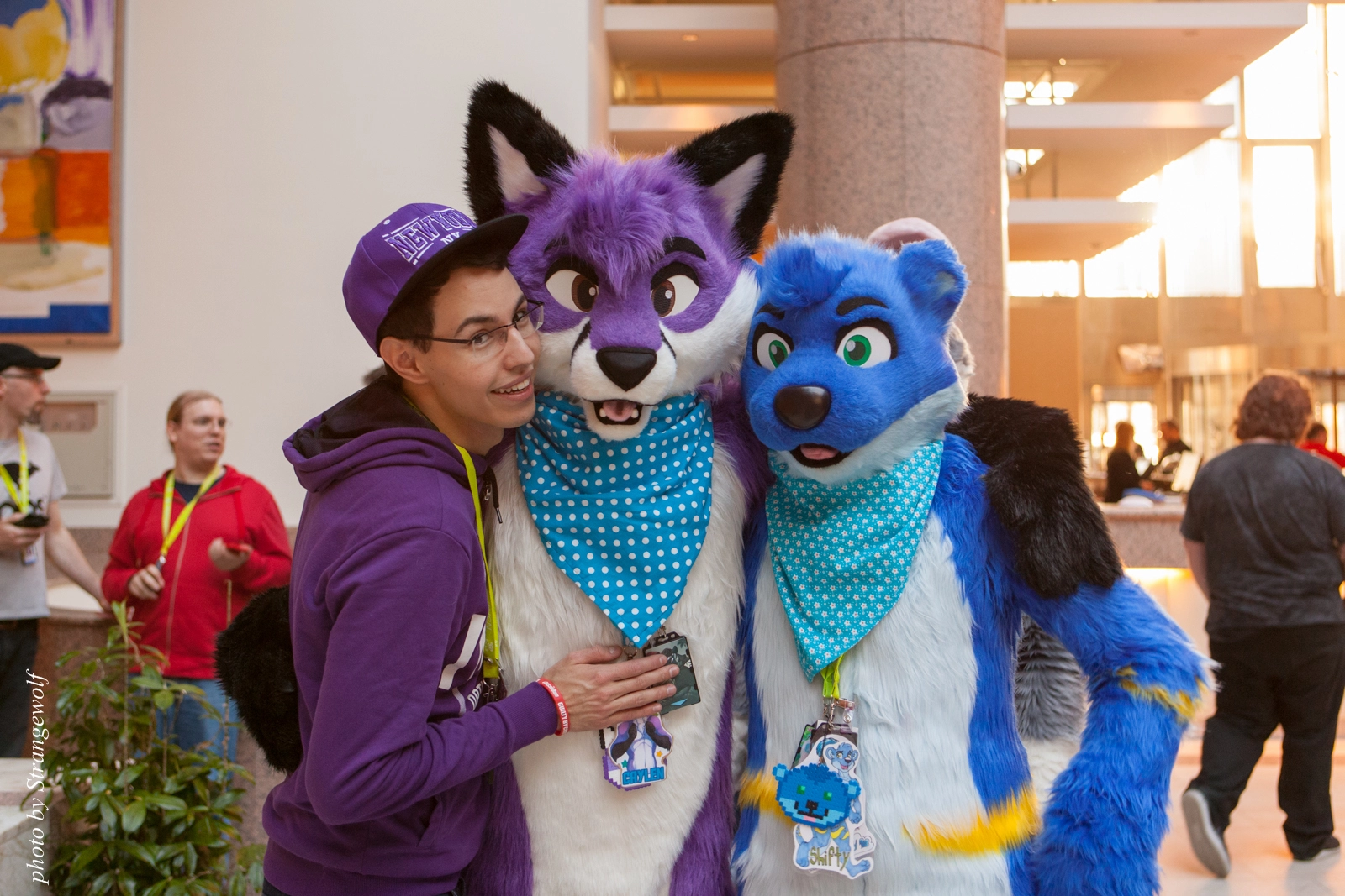 full image IMG_2115-lr16t.jpg