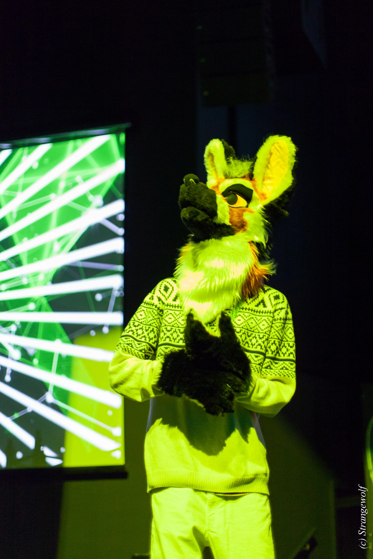 full image IMG_9355-lr19t.jpg