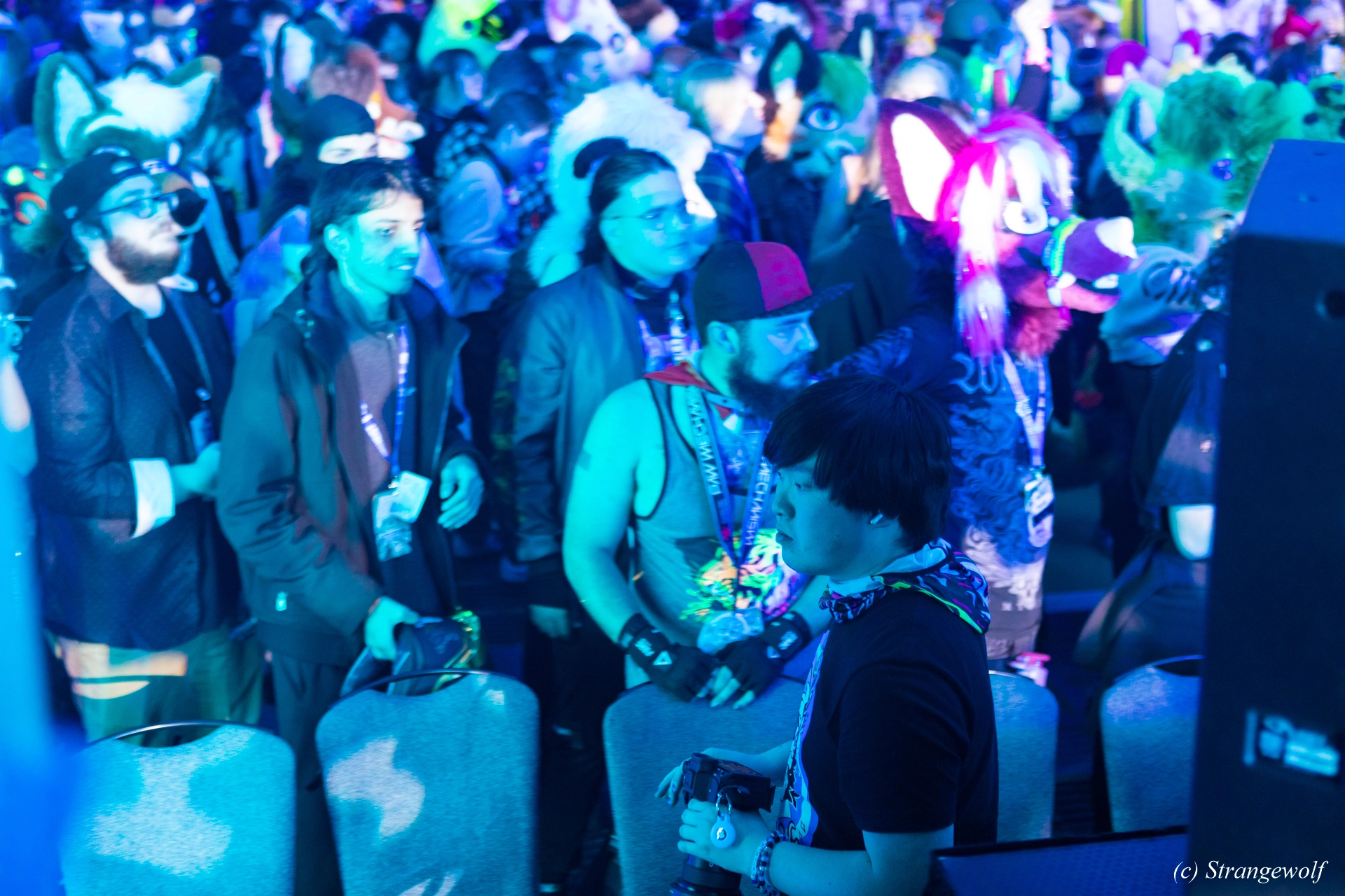 full image 1R3A5023-lr19t.jpg