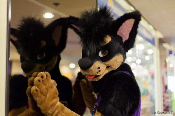 IMG_2551-lr19t.jpg of BLFC/2018/