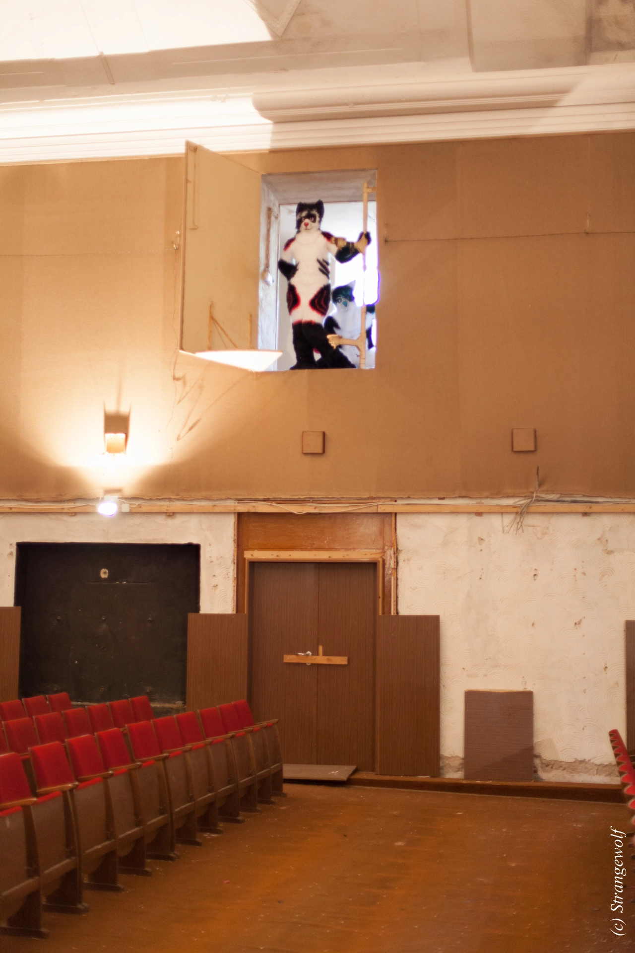 full image IMG_5875-lr19t.jpg
