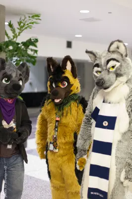 IMG_1253-lr16t.jpg of FC/FC2017/