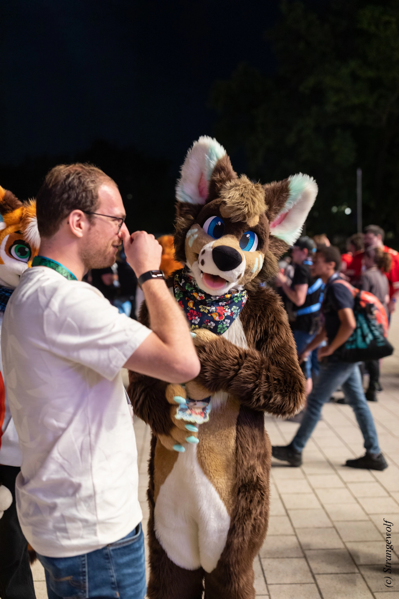 full image 1R3A9495-lr19t.jpg