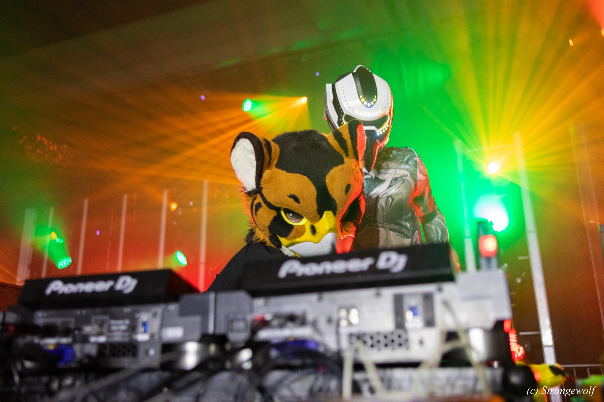 full image 1R3A4693-lr19t.jpg