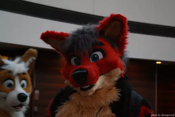 IMG_1040-lr.jpg of MFF/MFF2013/