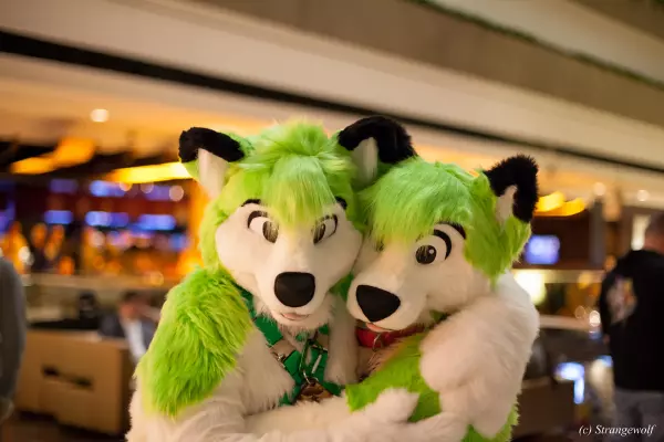 IMG_8082-lr19t.jpg of MFF/MFF2017/