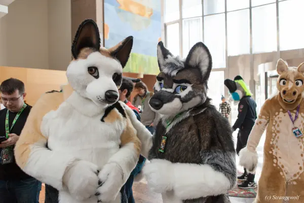 IMG_9464-lr19t.jpg of NFC/NFC2018/