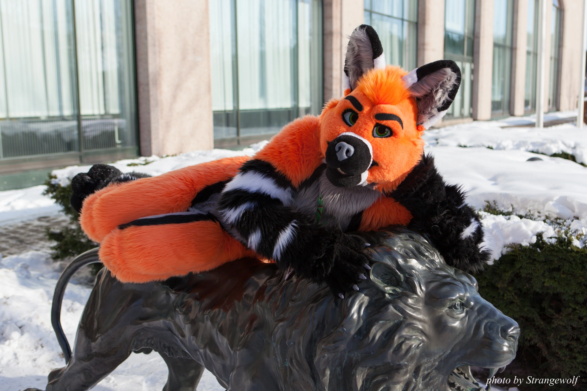 full image IMG_0092-lr19t.jpg