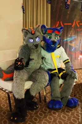 IMG_8049-lr19t.jpg of MFF/MFF2017/