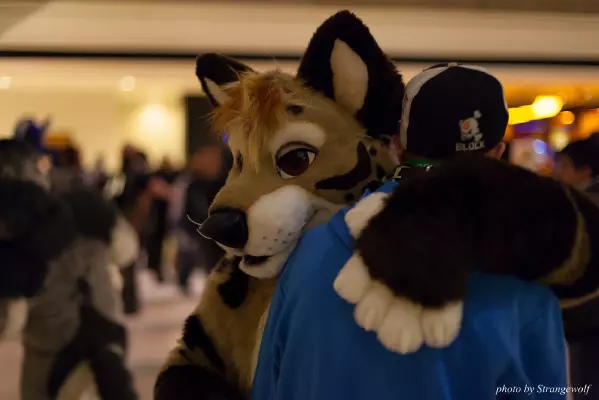 IMG_0737-lr16t.jpg of MFF/MFF2016/