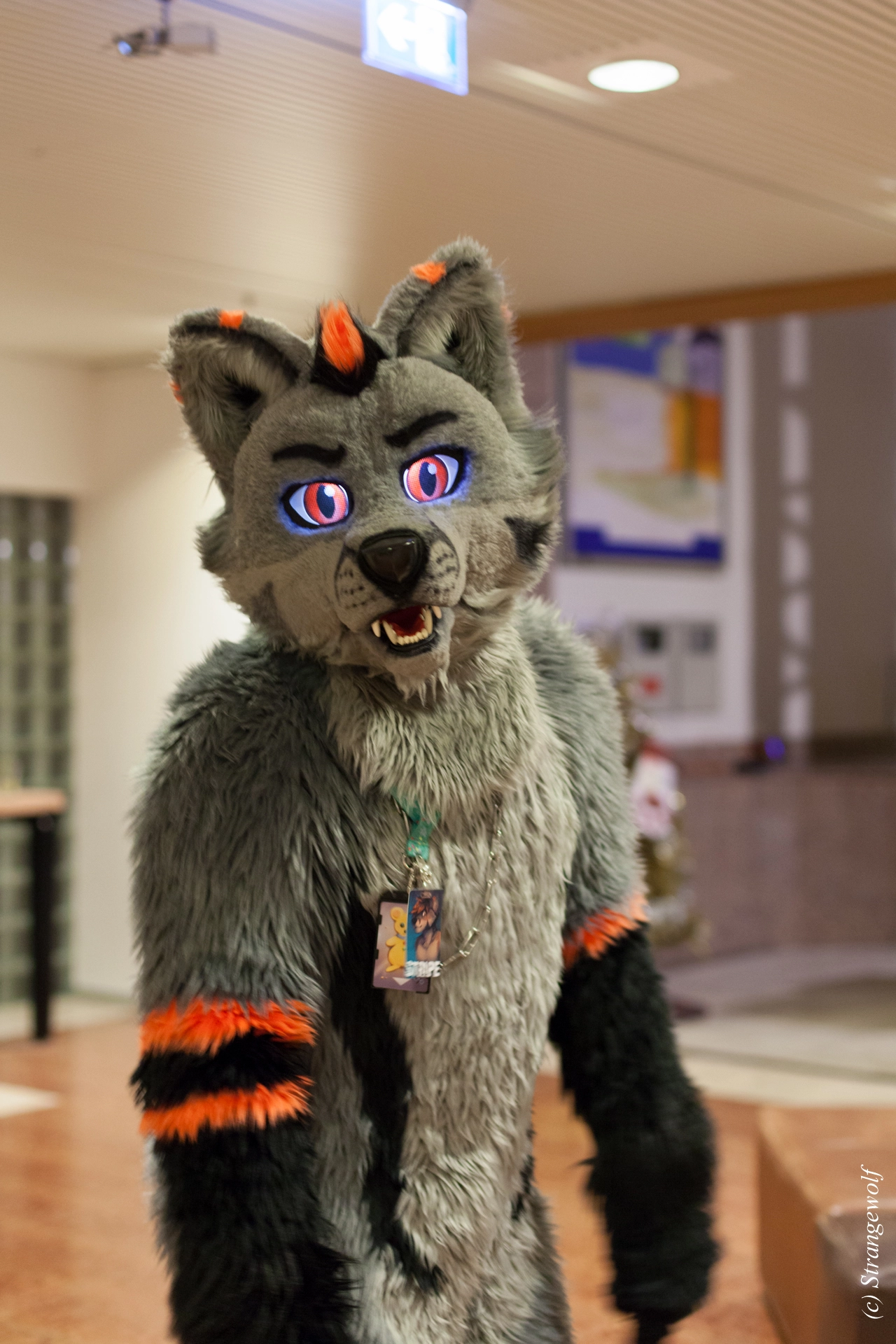 full image IMG_9123-lr19t.jpg