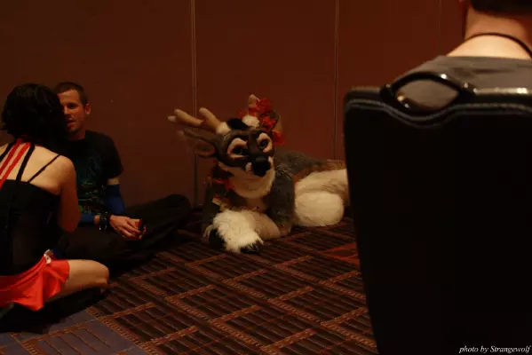 IMG_0321-lr.jpg of MFF/MFF2013/