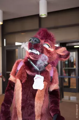 IMG_8454-lr19t.jpg of MFF/MFF2017/