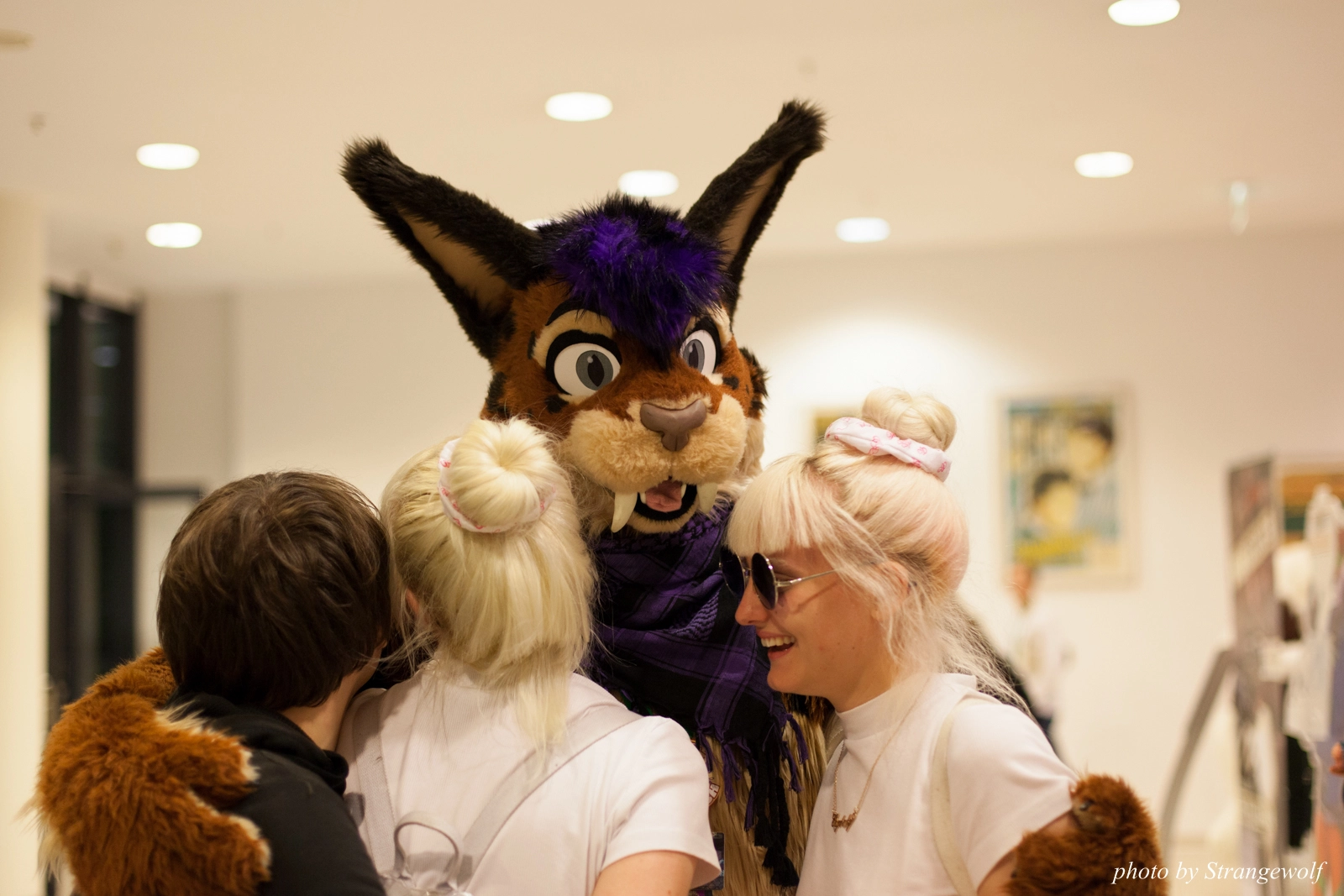 full image IMG_0194-lr16t.jpg