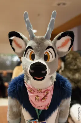 IMG_9159-lr19t.jpg of NFC/NFC2019/