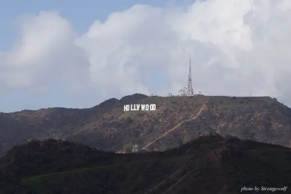 IMG_0966-lr16t.jpg of FC/FC2017/