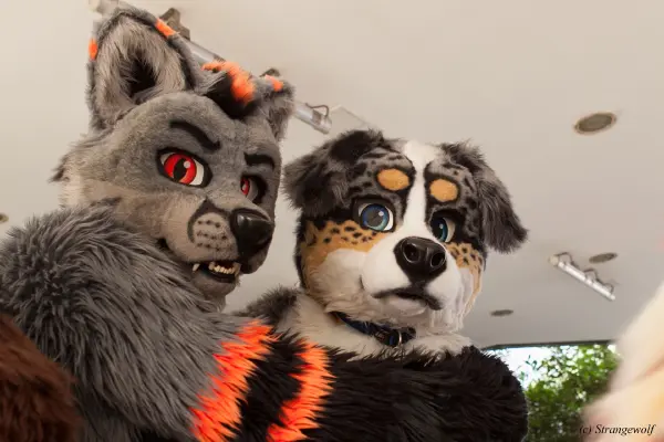 IMG_4941-lr19t.jpg of EF/EF24/Fotoshoot-Neonfurs/