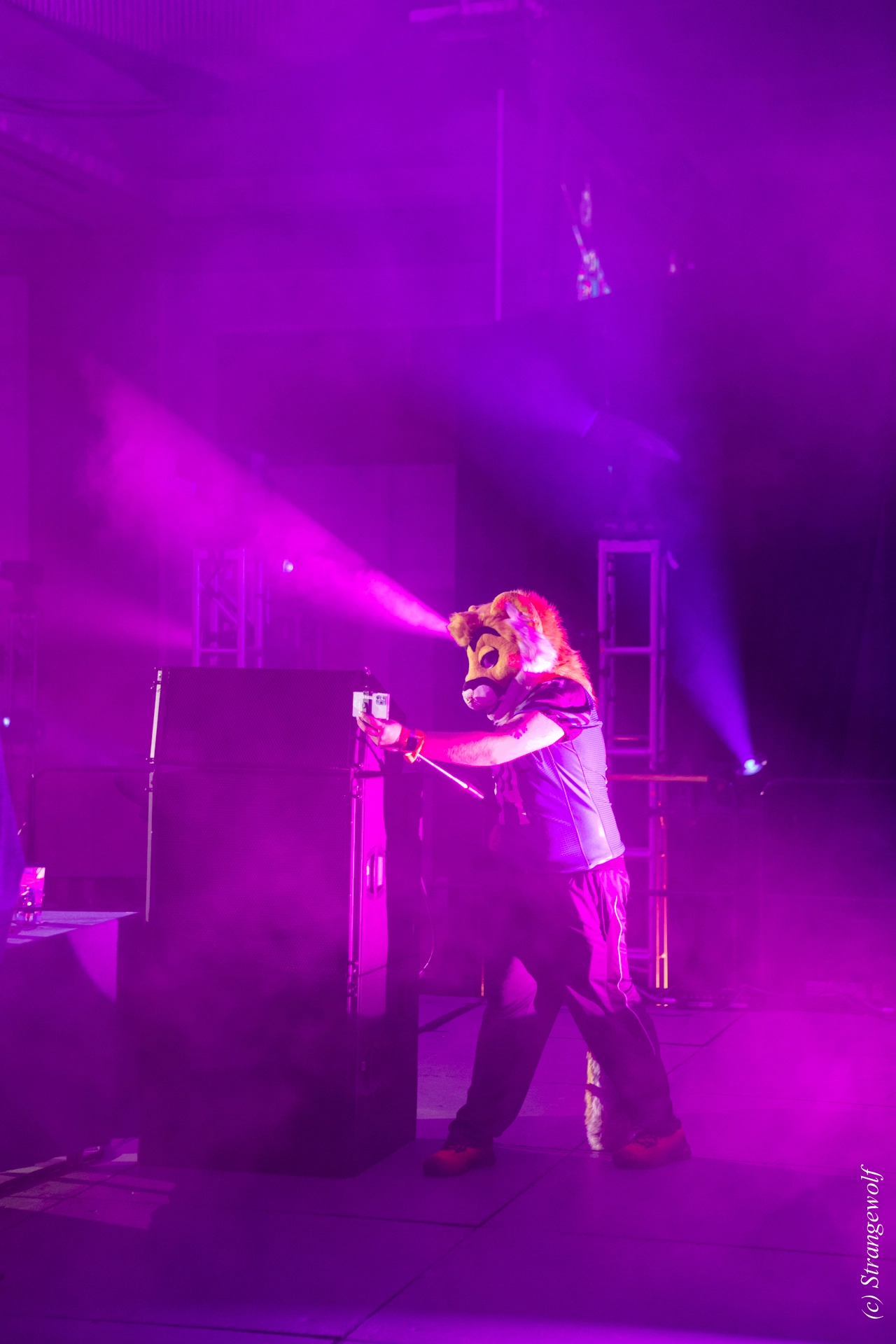 full image 1R3A0347-lr19t.jpg