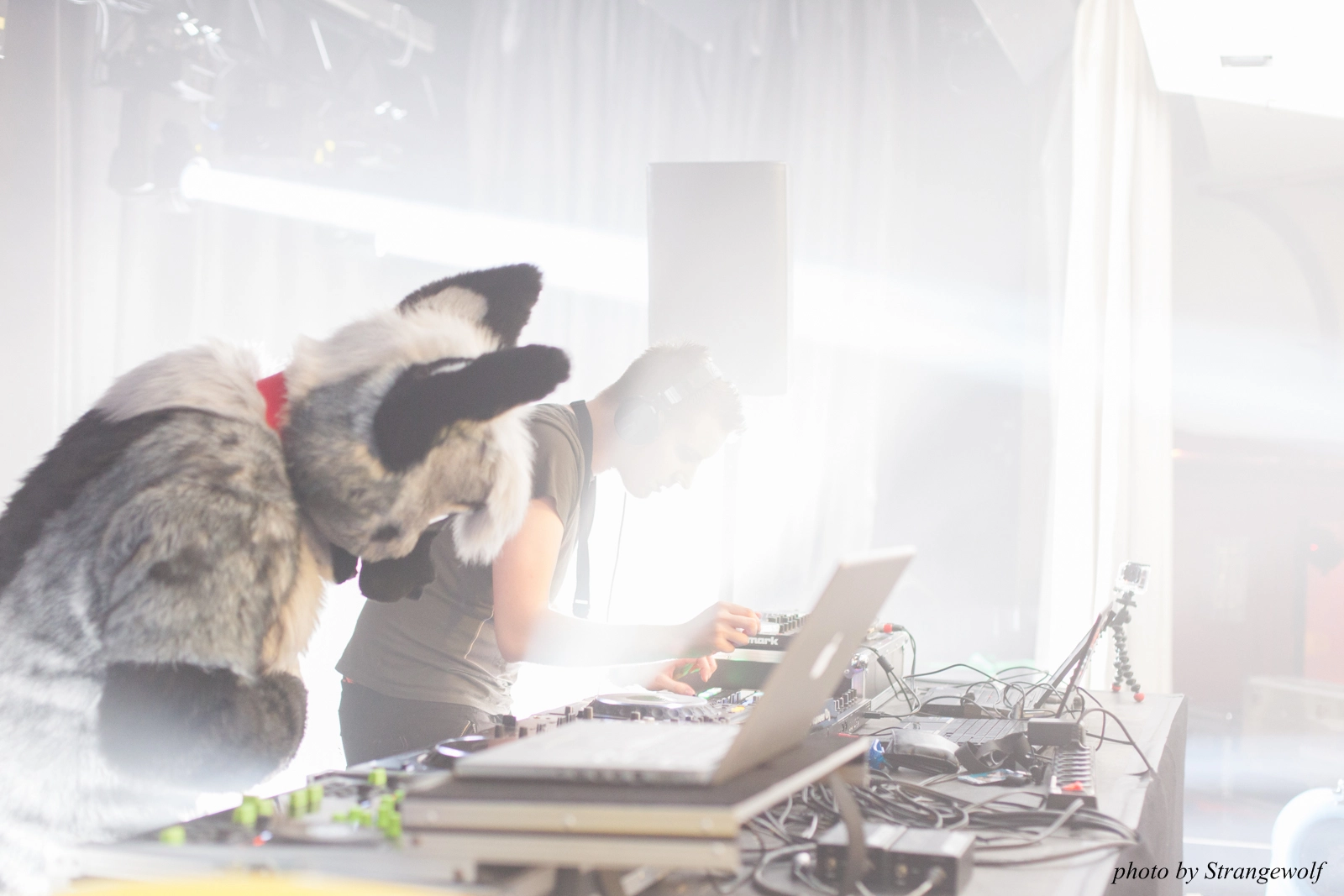 full image IMG_8653-lr16t.jpg