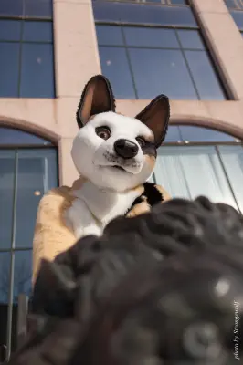 IMG_9574-lr19t.jpg of NFC/NFC2018/