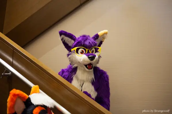 IMG_1007-lr16t.jpg of FC/FC2017/