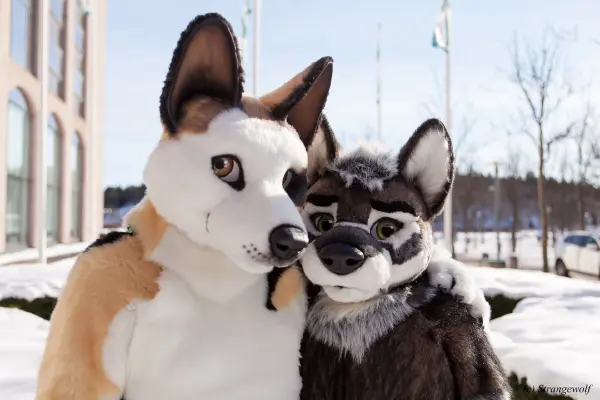 IMG_9554-lr19t.jpg of NFC/NFC2018/