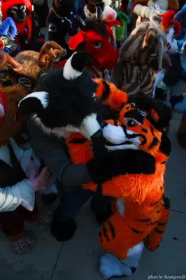 IMG_0692-lr.jpg of MFF/MFF2013/