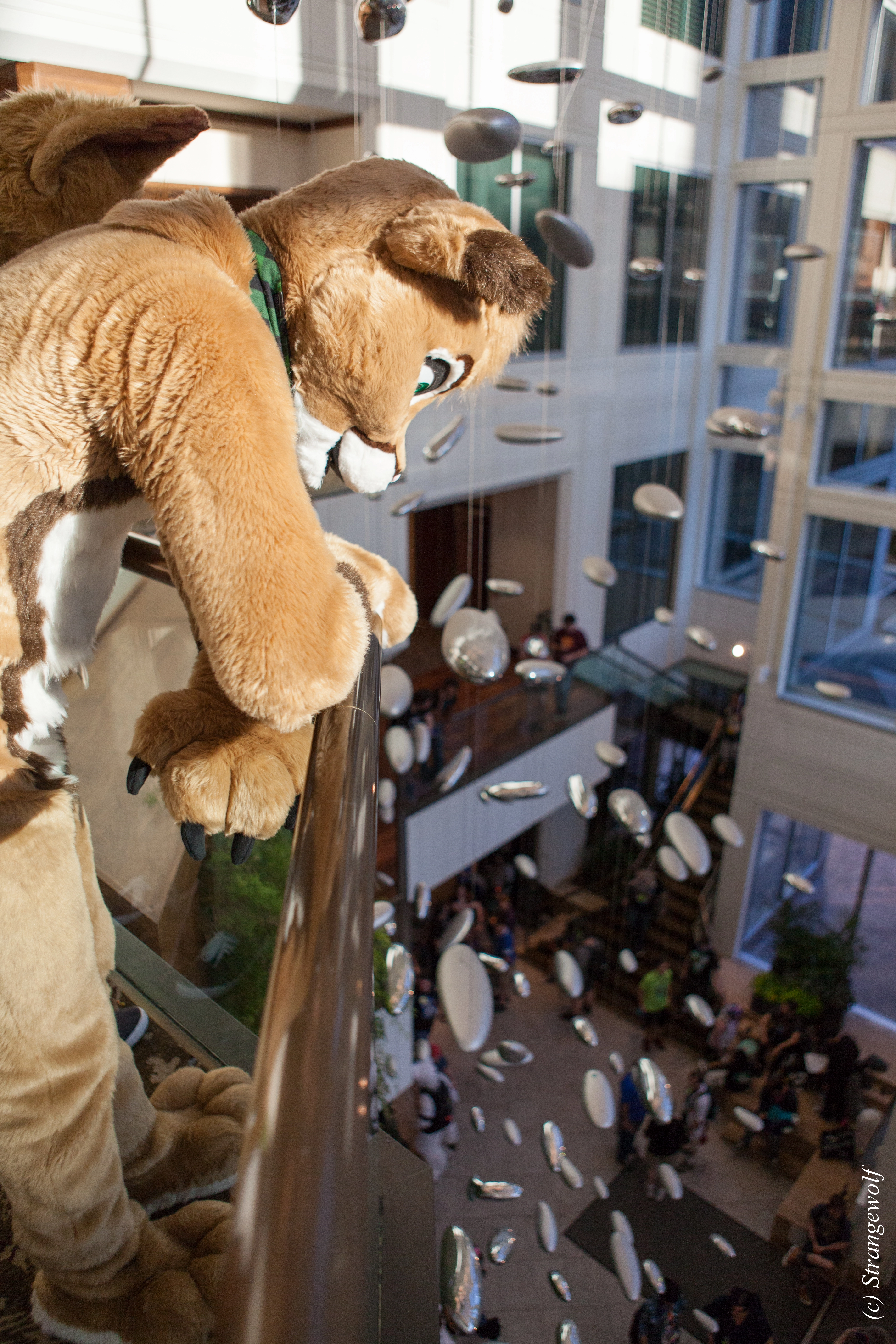 full image IMG_4404-lr.jpg