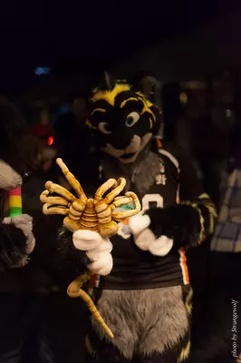 IMG_0804-lr16t.jpg of MFF/MFF2016/