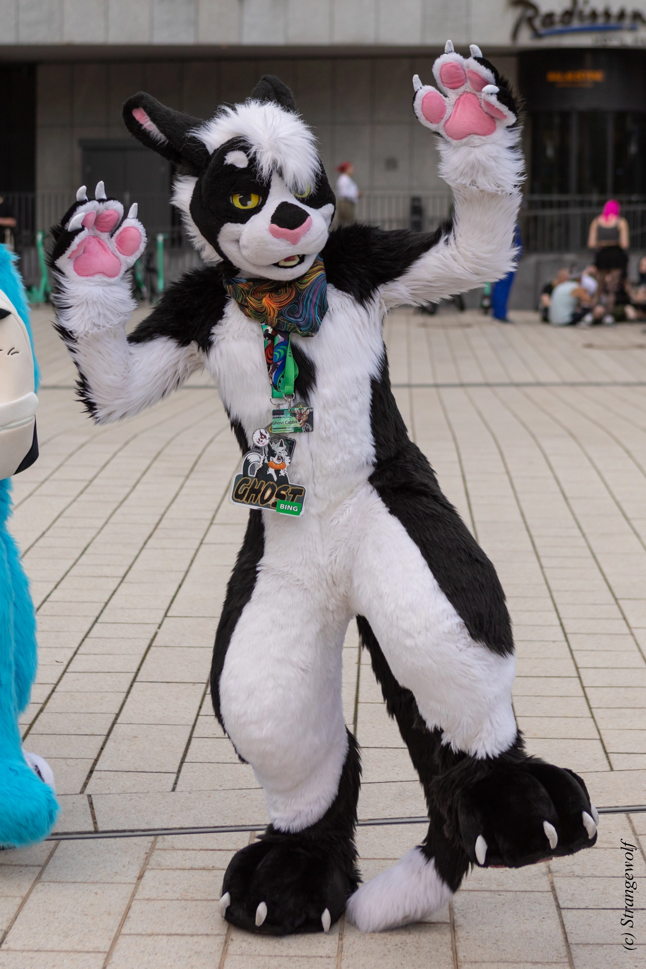 full image 1R3A9178-lr19t.jpg