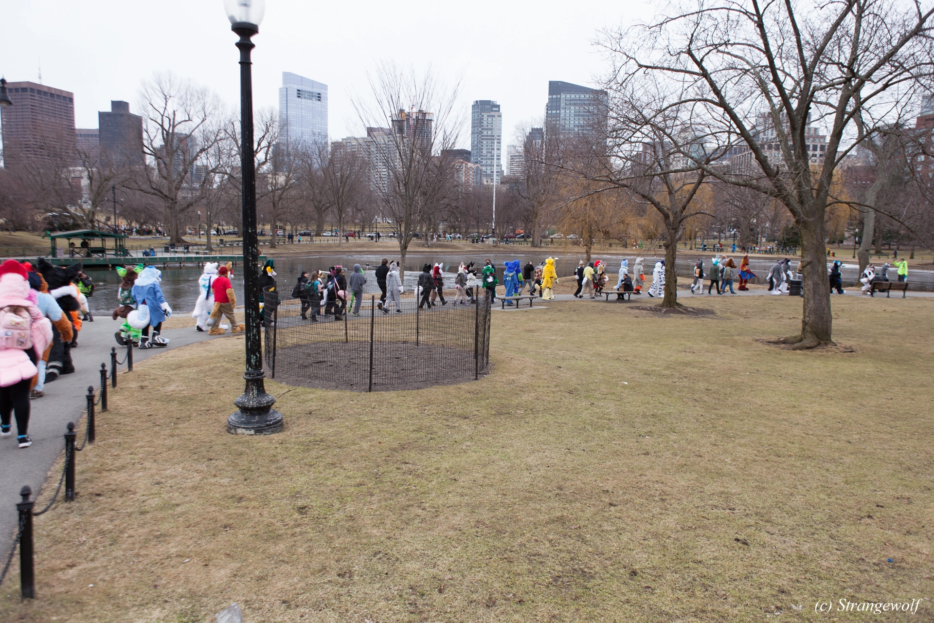 full image IMG_3239-lr19t.jpg