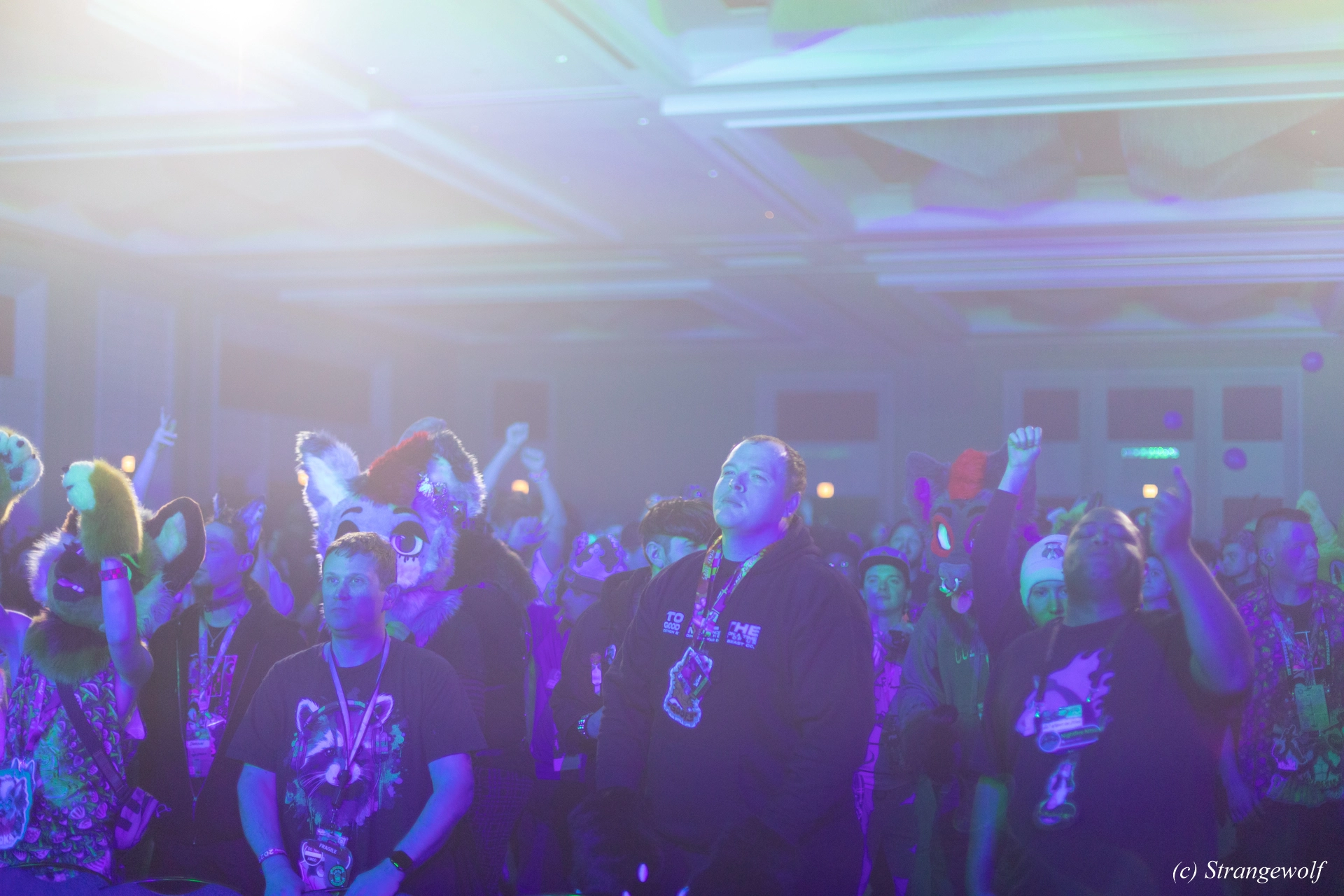 full image 1R3A0539-lr19t.jpg