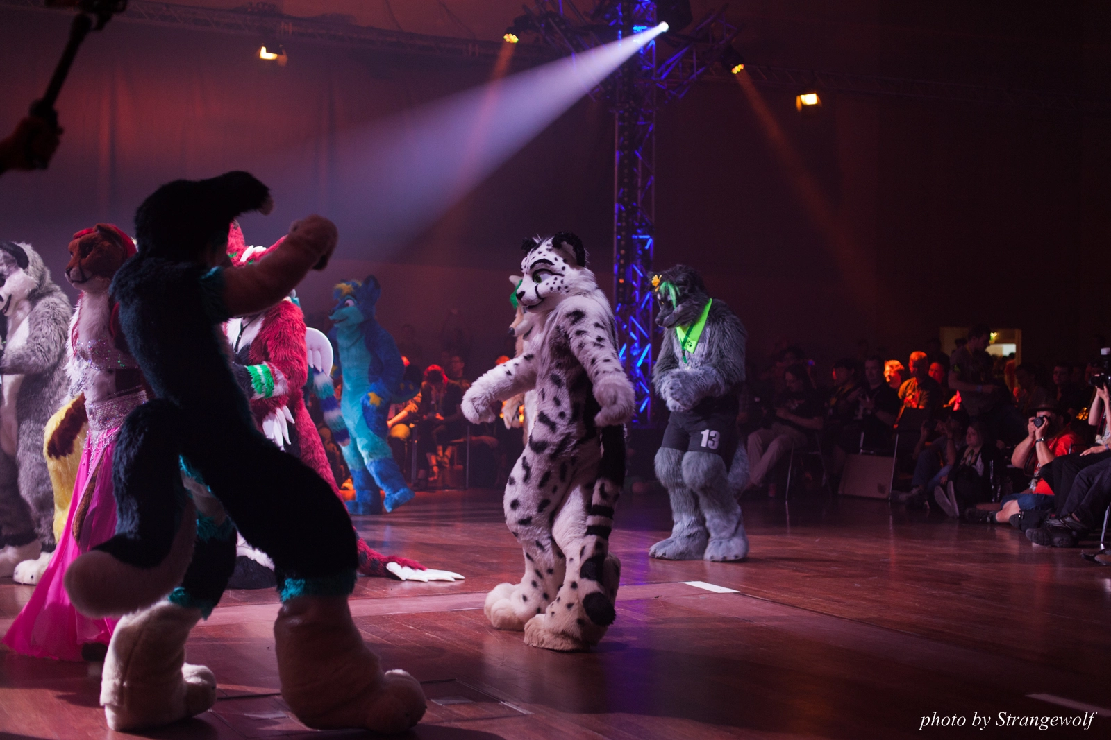 full image IMG_2983-lr16t.jpg