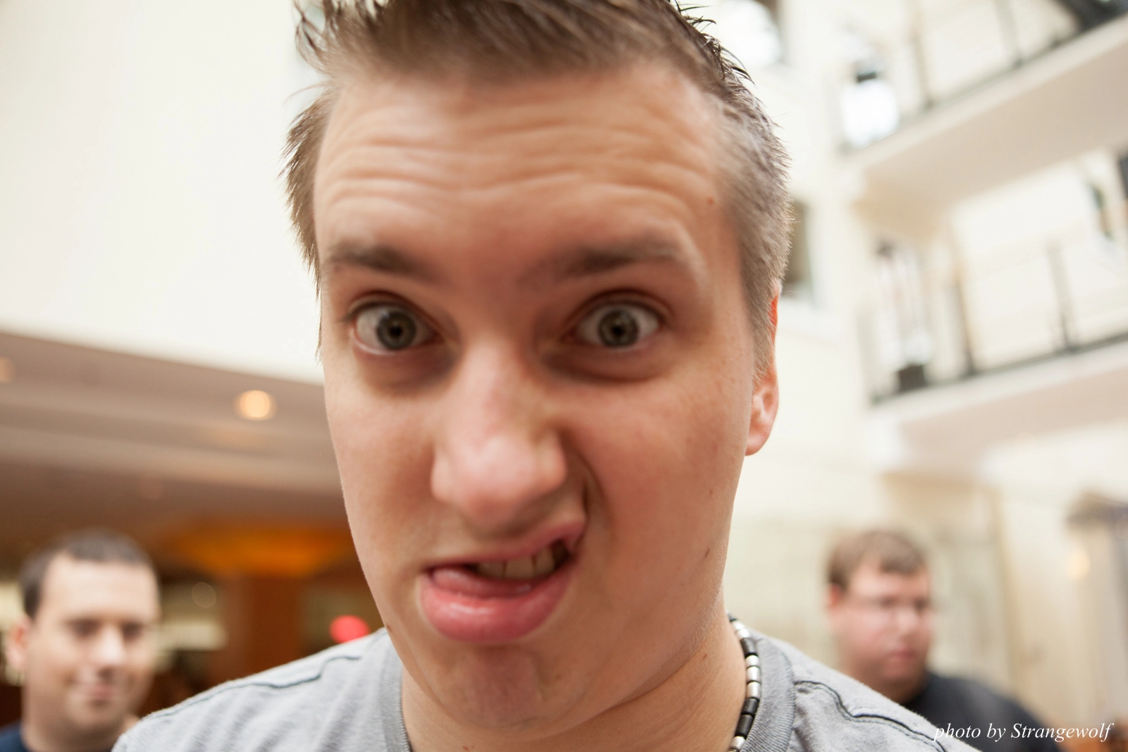 full image IMG_8909-lr16t.jpg