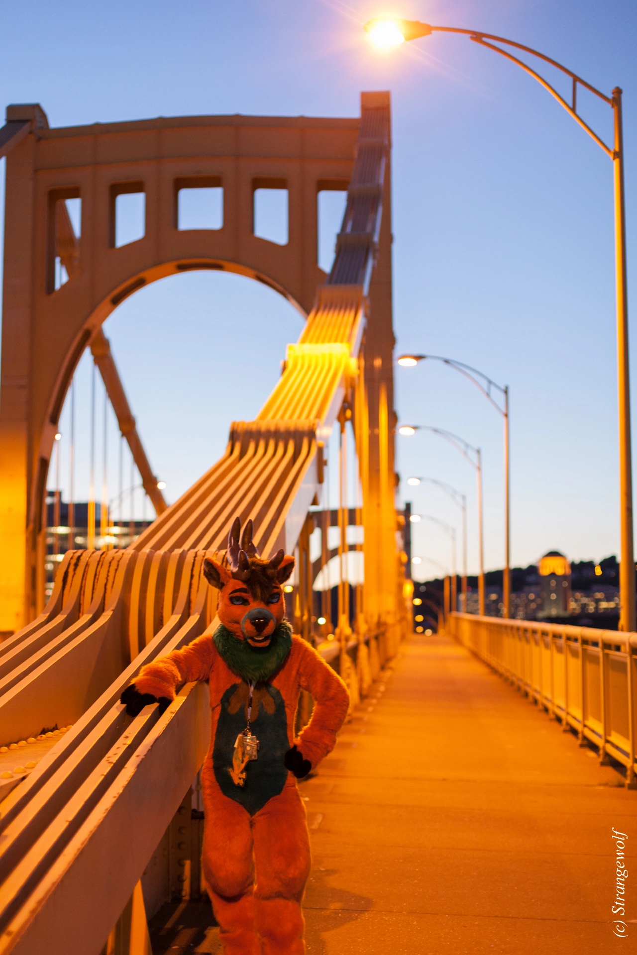 full image IMG_4537-lr19t.jpg