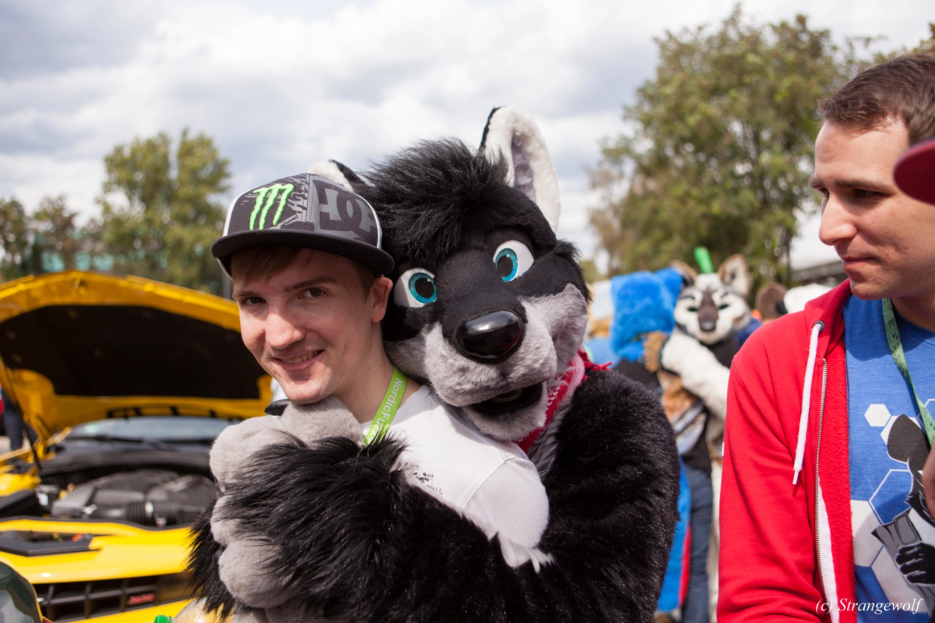 full image IMG_5245-lr19t.jpg