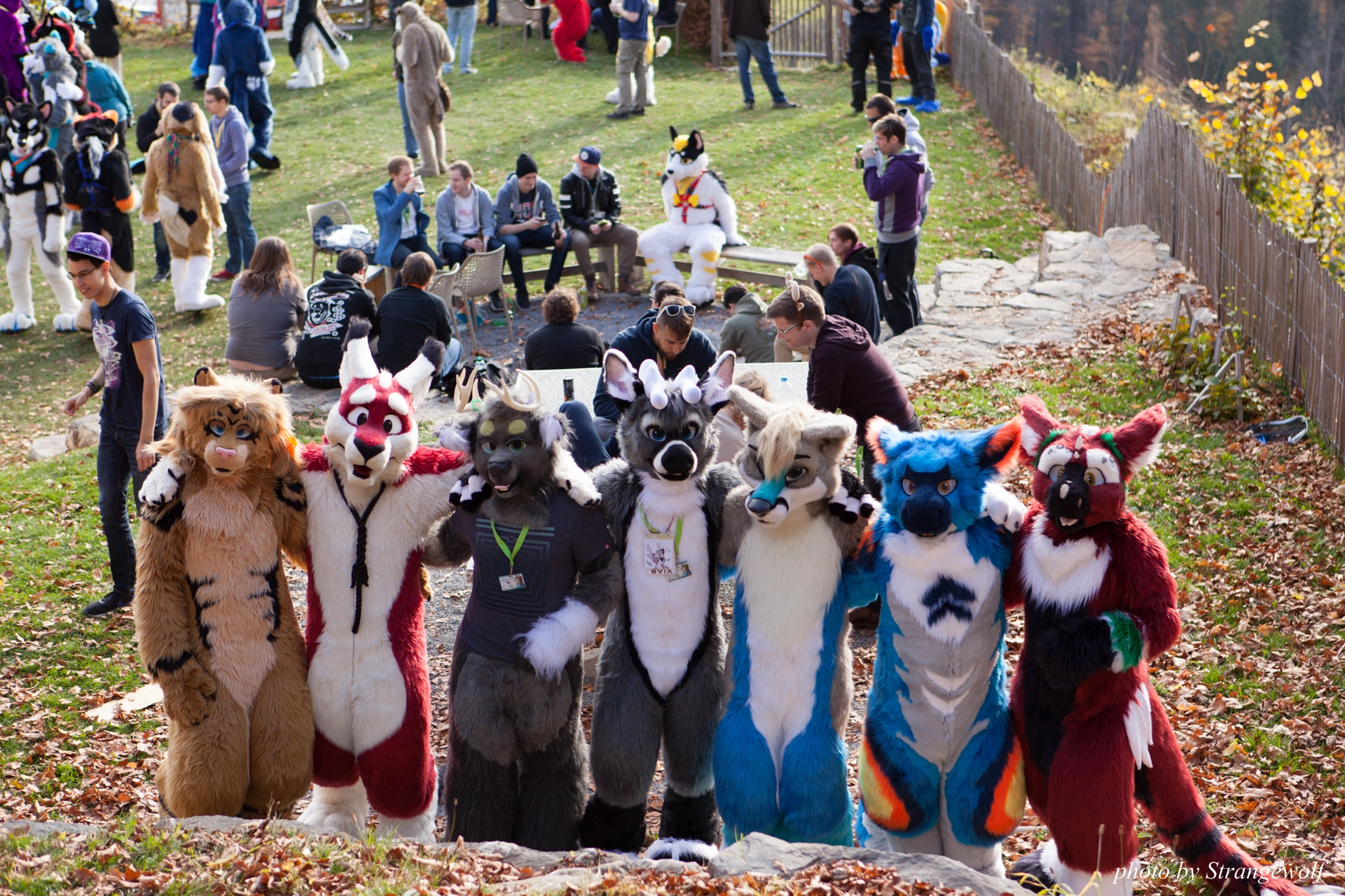 full image IMG_7834-lr19t.jpg