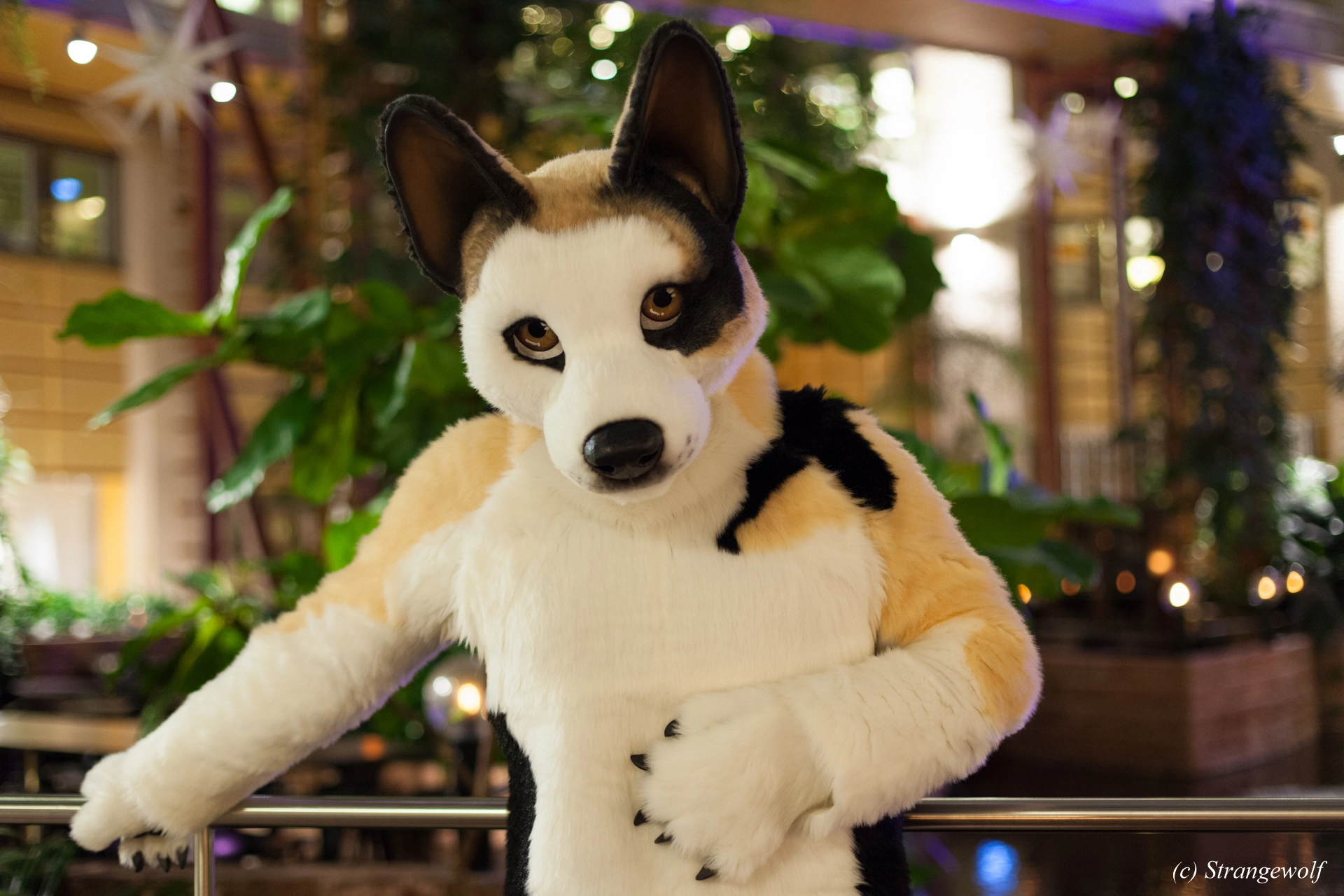 full image IMG_9802-lr19t.jpg