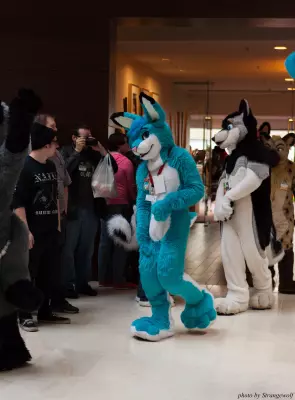 IMG_5981-lr16t.jpg of MFF/MFF2014/