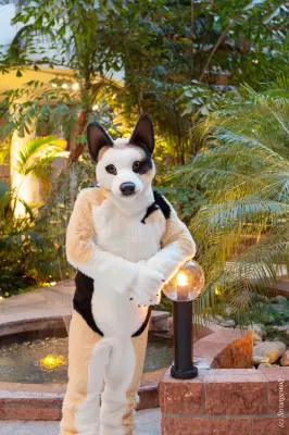 IMG_8899-lr19t.jpg of NFC/NFC2019/