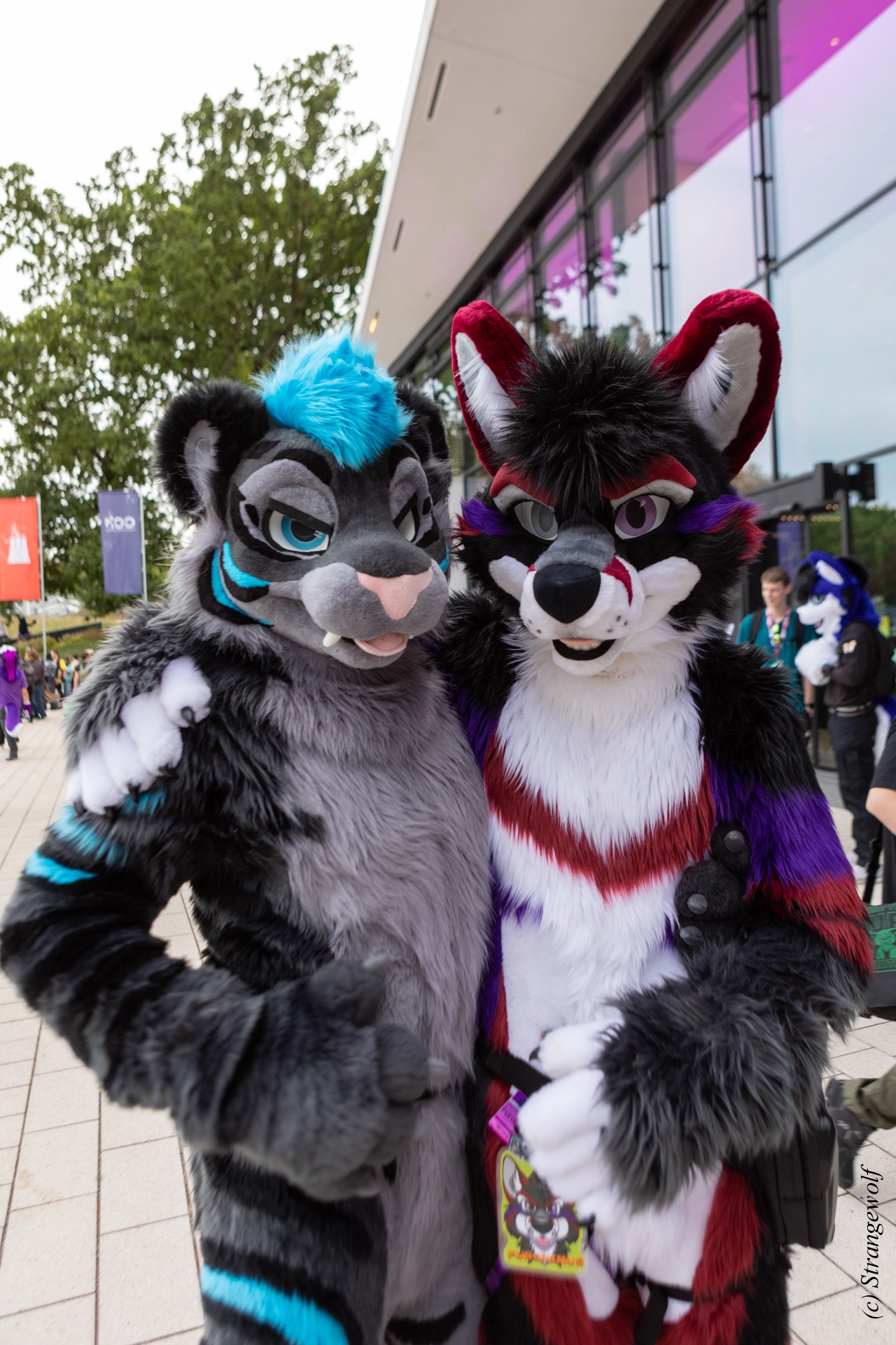 full image 1R3A9118-lr19t.jpg