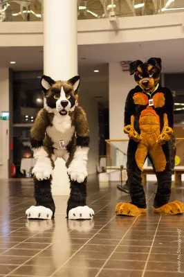 IMG_1955-lr16t.jpg of NFC/NFC2017/