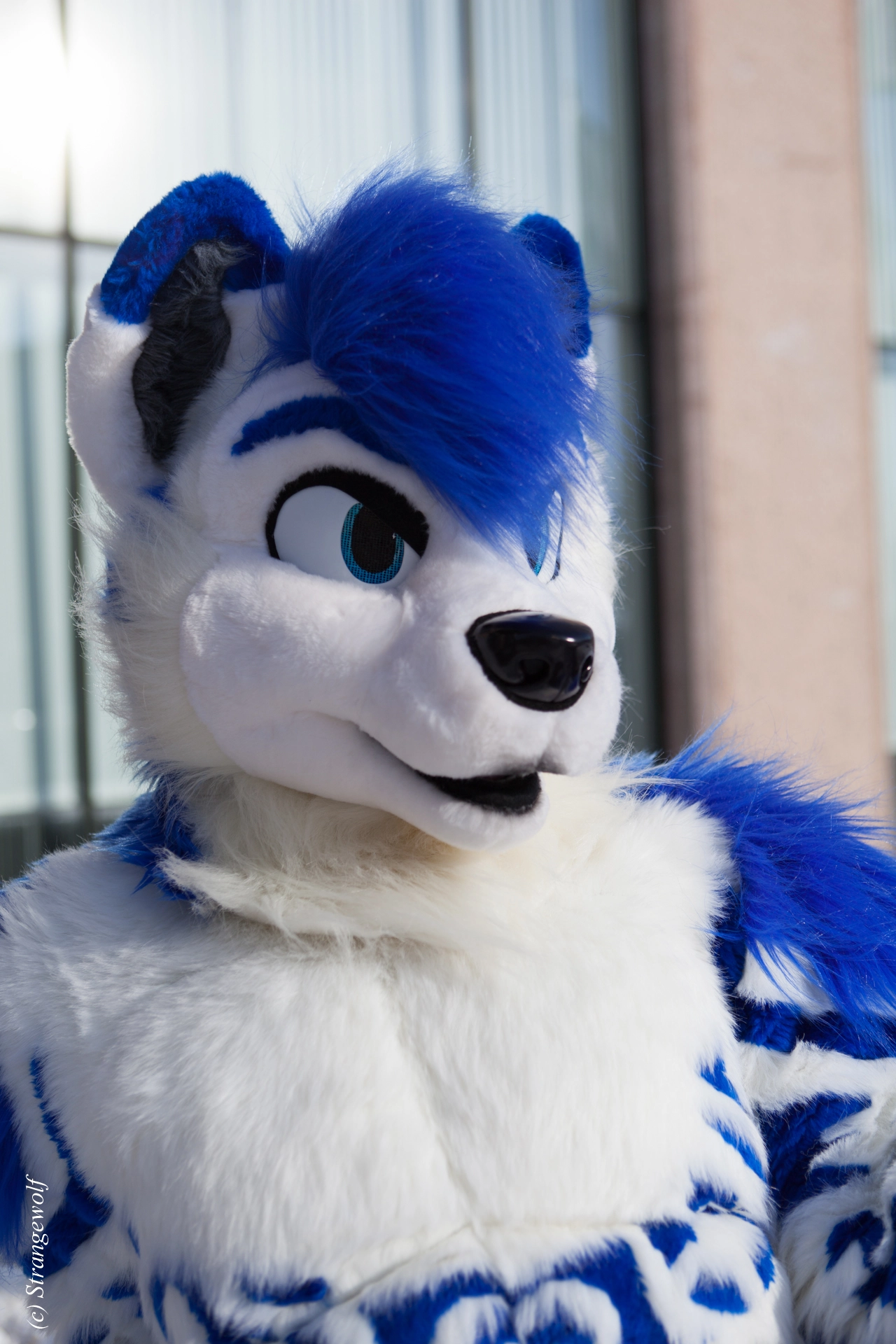 full image IMG_9753-lr19t.jpg