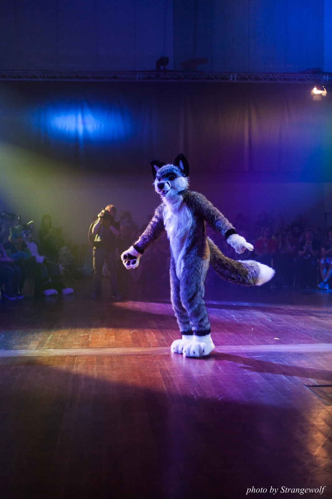 full image IMG_2960-lr16t.jpg