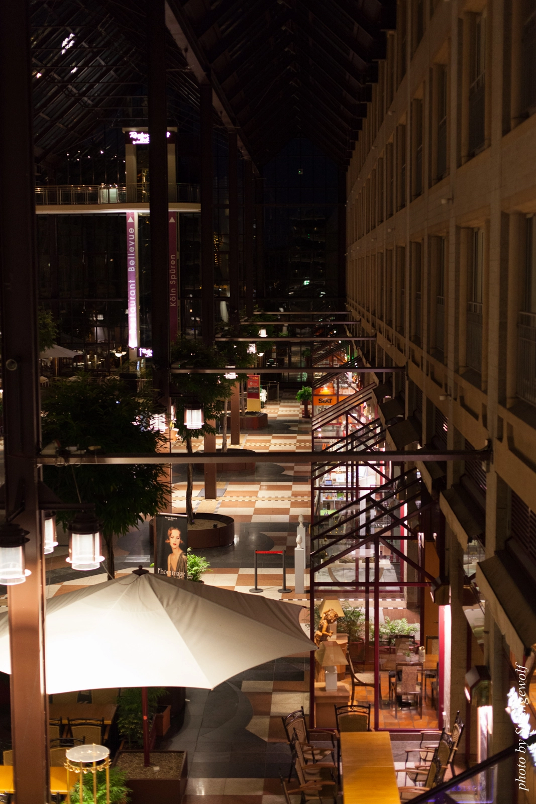 full image IMG_8867-lr16t.jpg